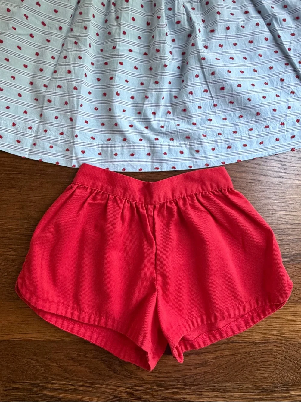 La Petite Fleur Light Blue & Red Swiss Dot Top with Red Shorts 4